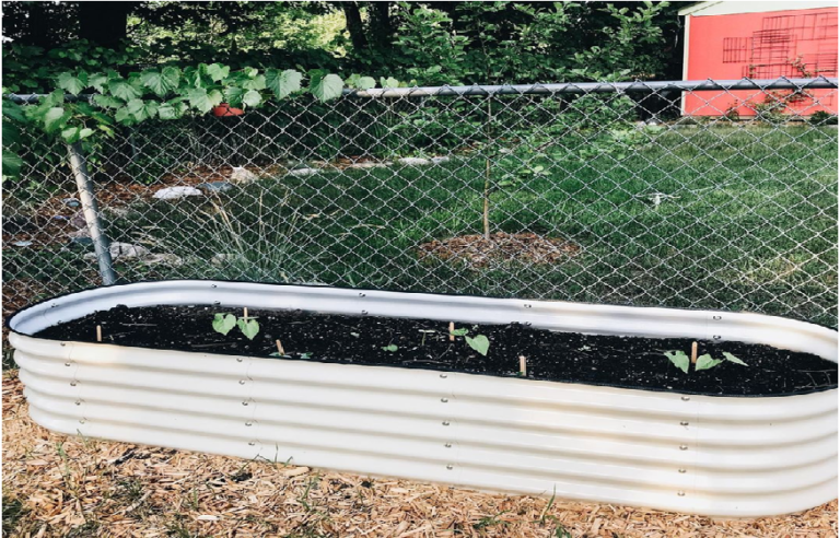 How Can Vermicomposting Trigger The Growth Of Plants In Your Raised Garden Bed?