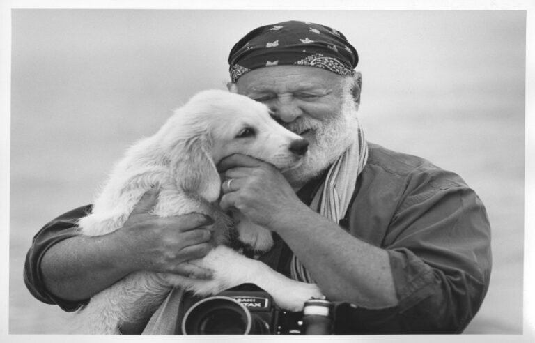 Bruce Weber Photographer Mentions a Few Tips That Can Help in Composing Beautiful Images of Dogs