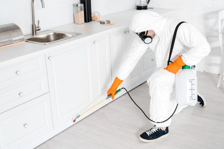 Expert tips and tricks for hiring the pest  control service